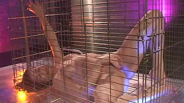 Several dudes fuck one professional whore Mandy Taylor in the cage